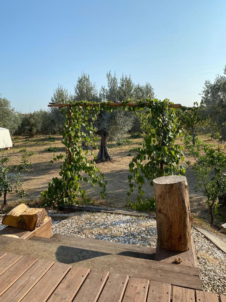 La Casa tra gli Ulivi - Cottage in legno photo 2