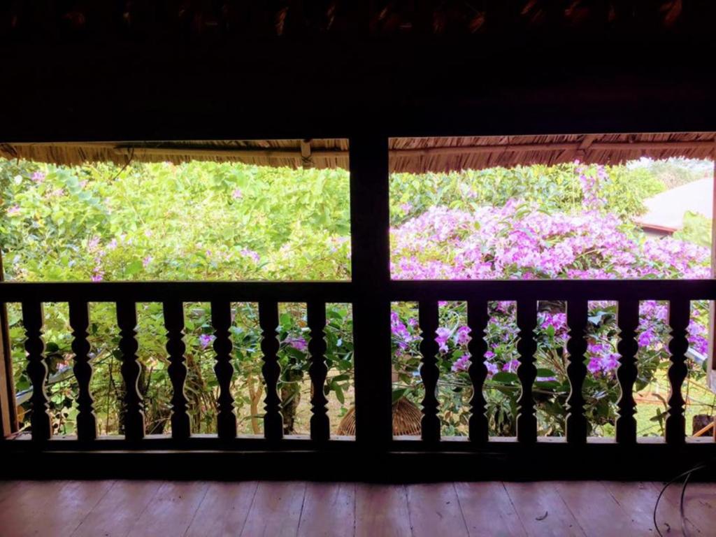 Hoa Mai Viên Sóc Sơn - Venue Travel