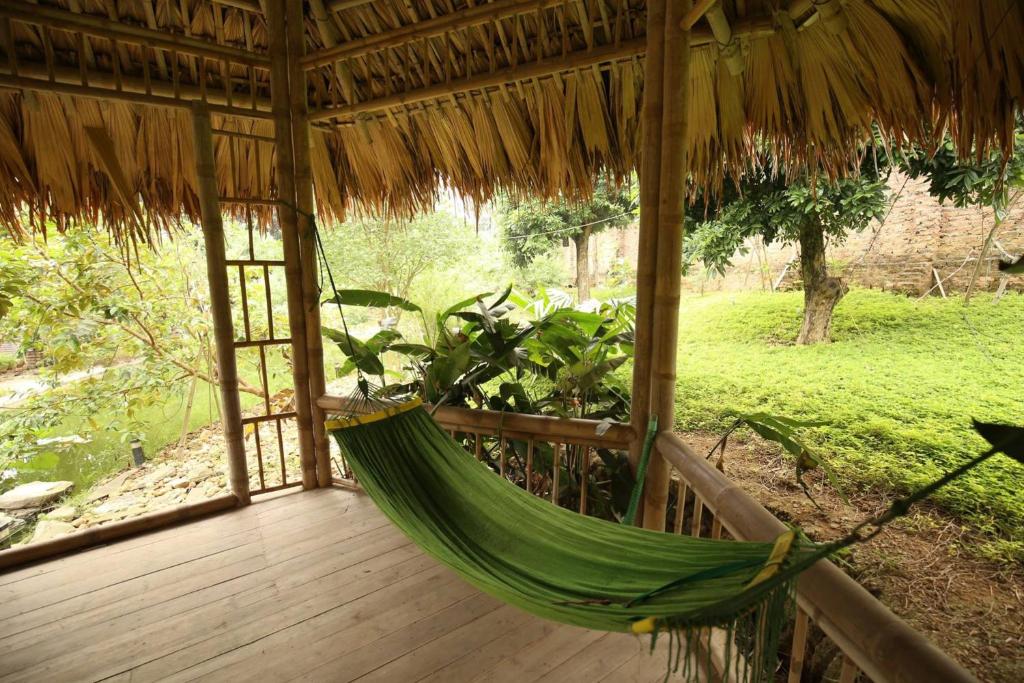 Hoa Mai Viên Sóc Sơn - Venue Travel