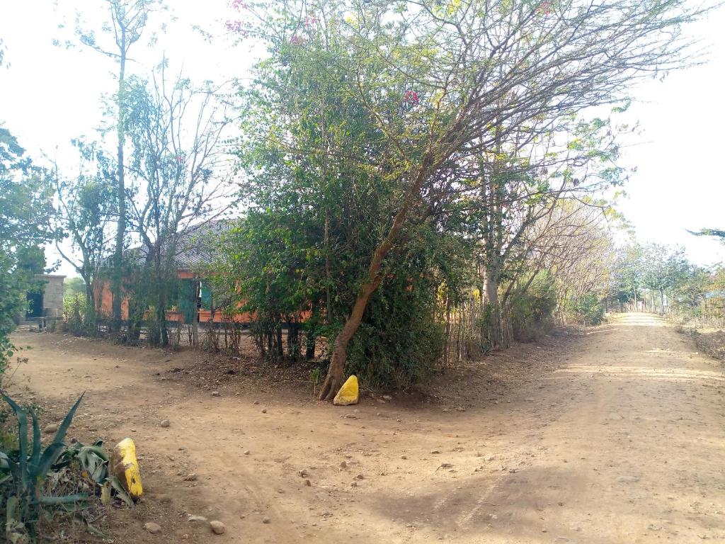 Sipili Village Residence photo 4