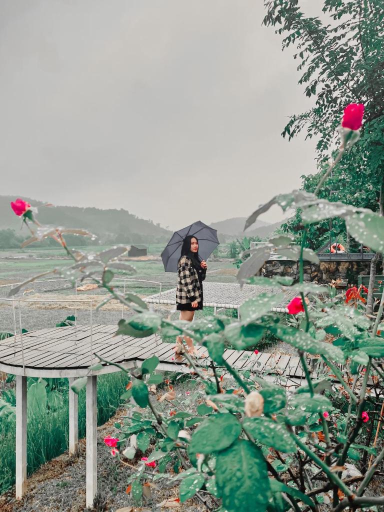 Hoya House Ba Vì - Venue Travel