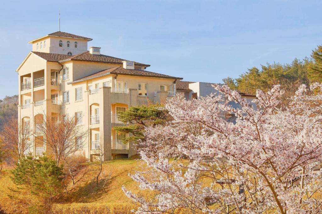 Gyeongju Mauna Ocean Resort photo 4