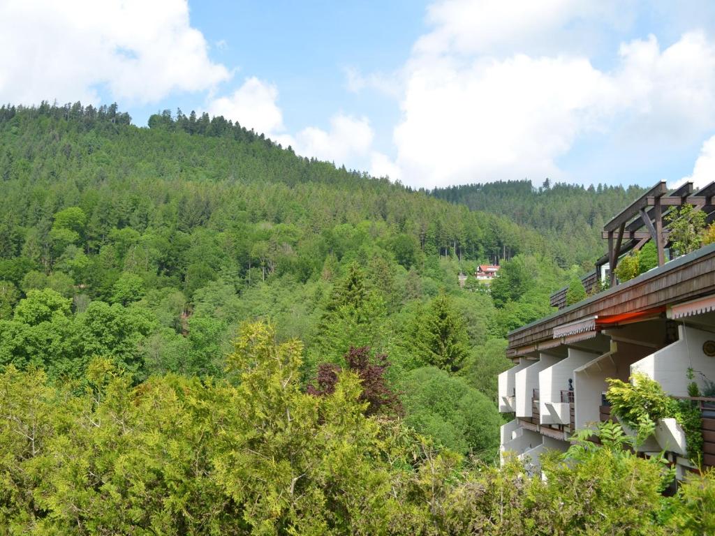 Wohnen am Kurpark Bad Wildbad photo 2