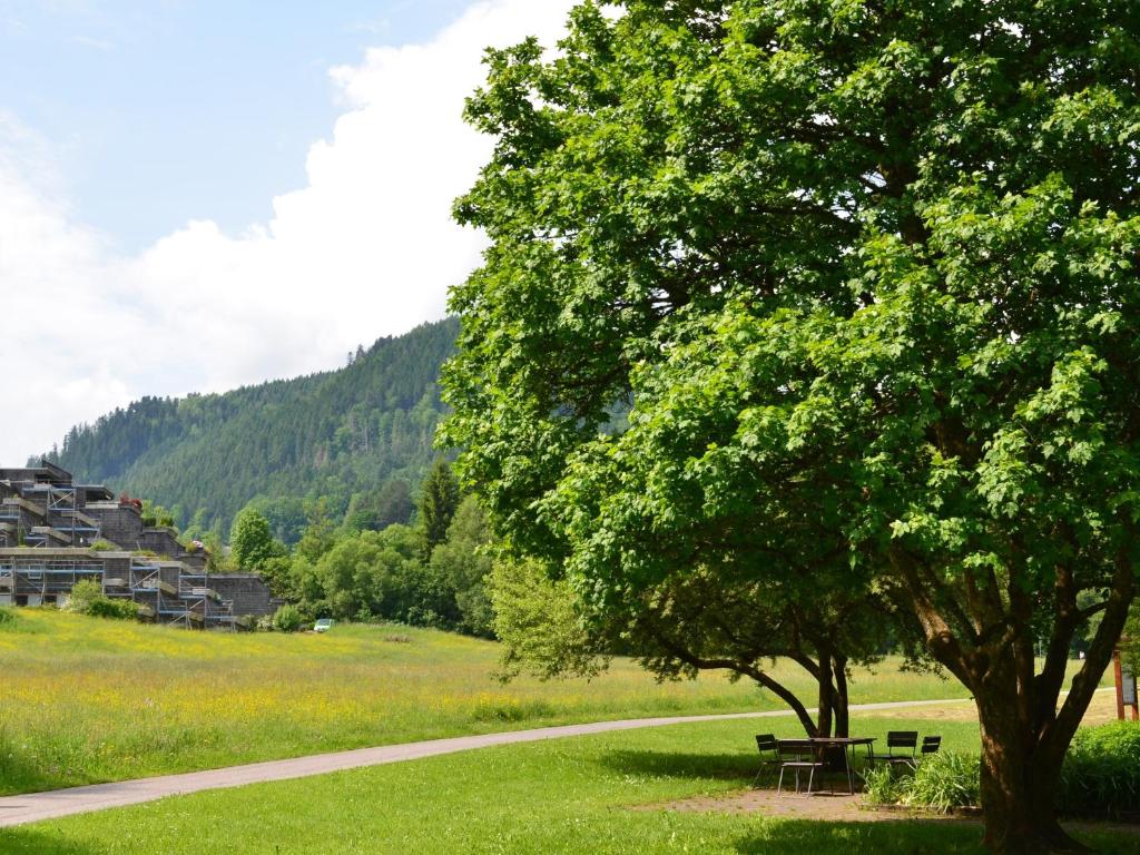 Wohnen am Kurpark Bad Wildbad photo 4