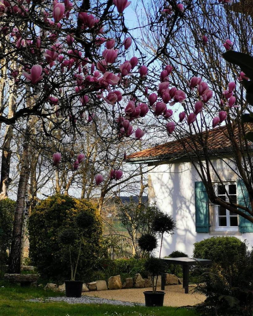 L'écrin des Gaves photo 1