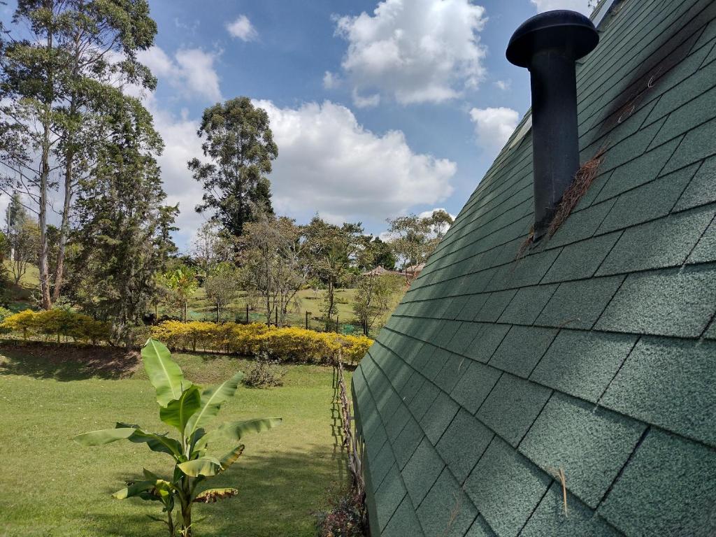 EUCALYPTO CHALET photo 4