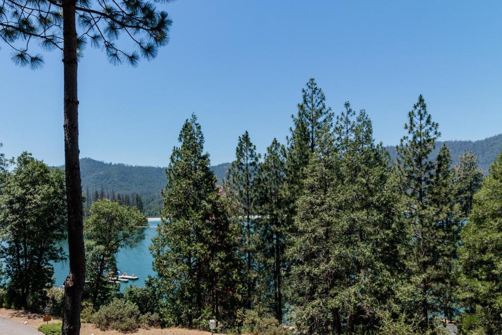Knott Lakeview photo 4