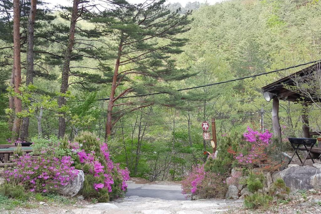 Blue Sky Milky Way Pension photo 3