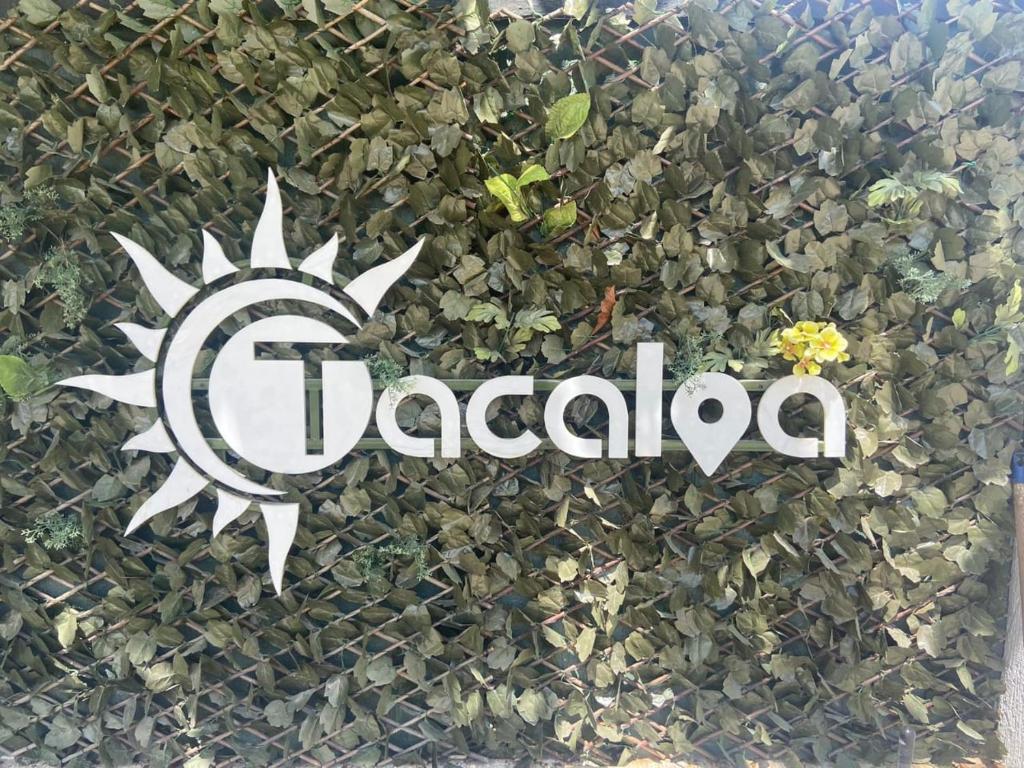 Hotel TACALOA INN EXPERIENCE photo 3