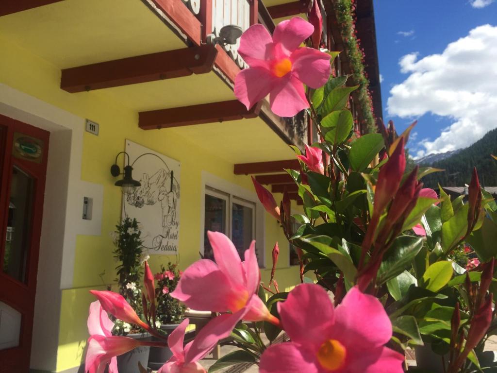 Fedaia Joy B&B