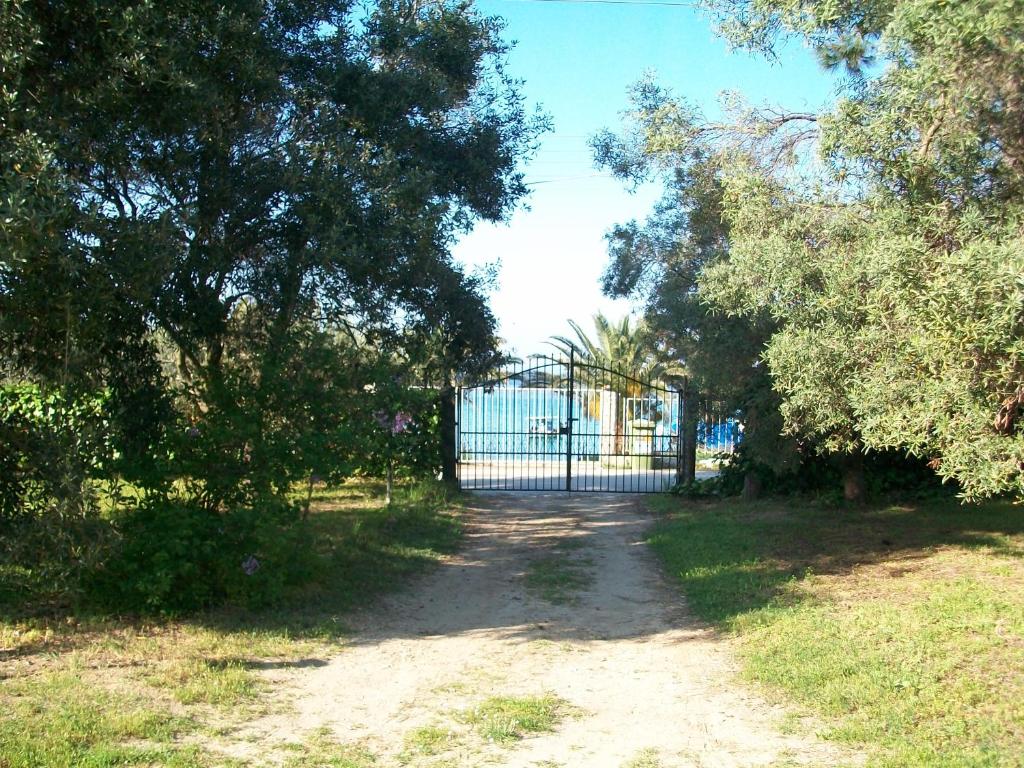 Villa Froso photo 4