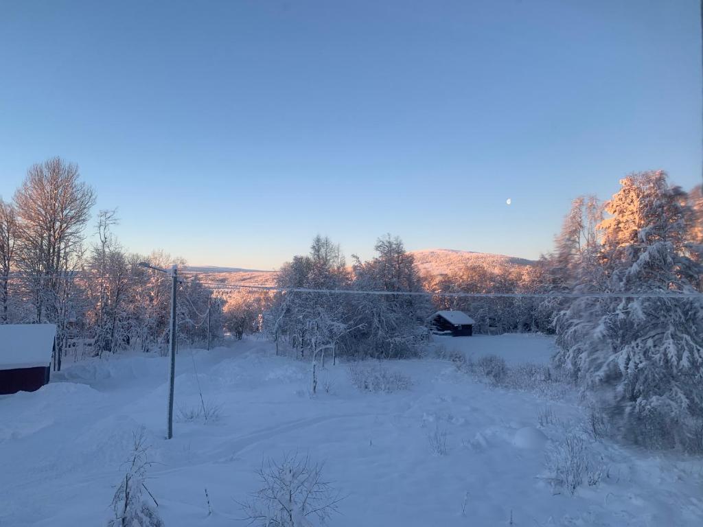 Linsell nyrenoverad lägenhet photo 2