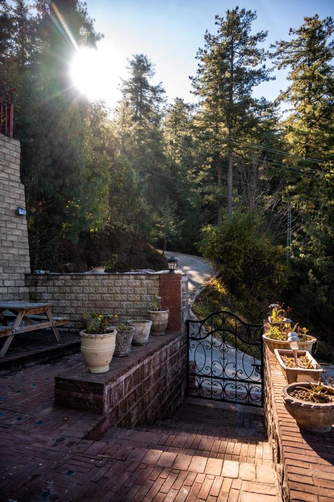 Sarah's Lodge photo 2