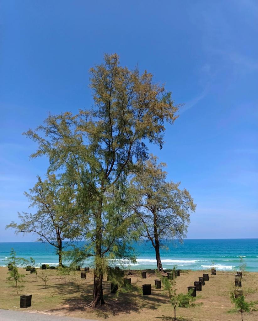 The Retreat Tanjung Jara photo 3
