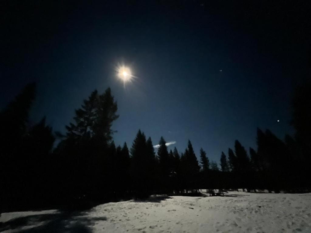 Dream Cabin photo 1