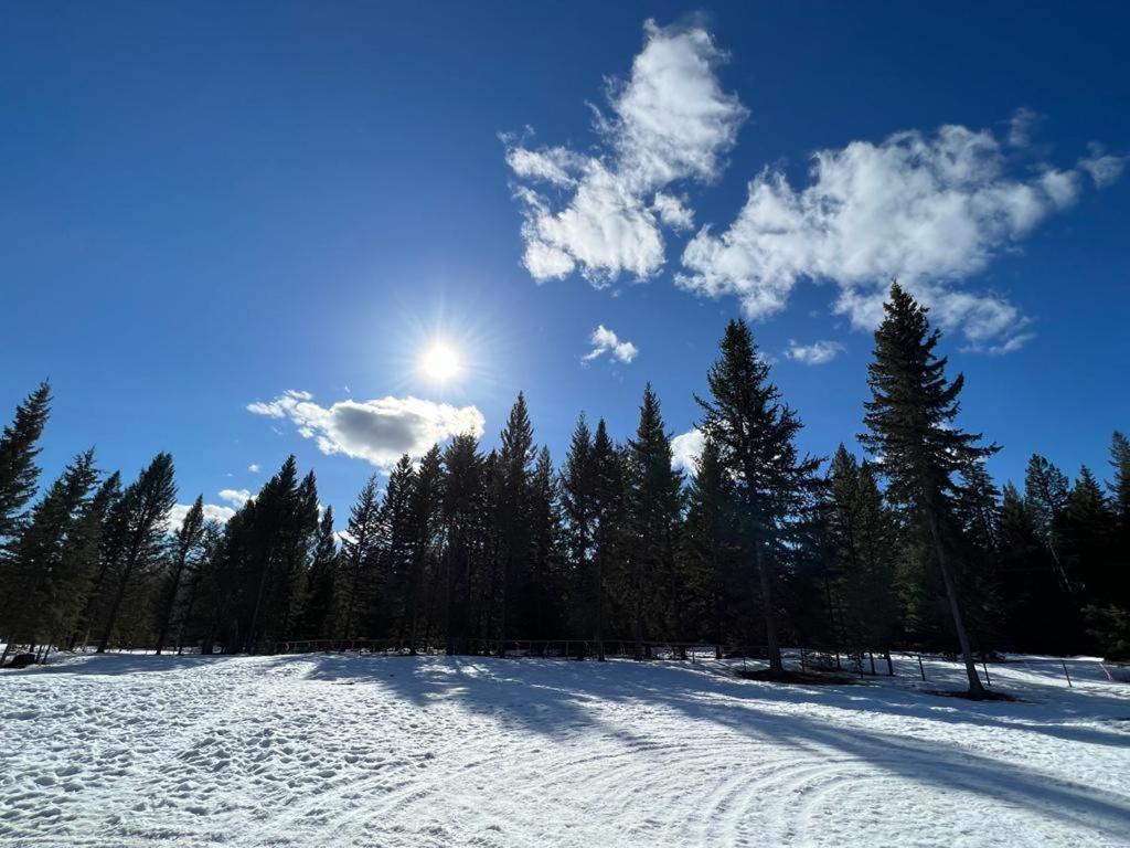 Dream Cabin photo 4