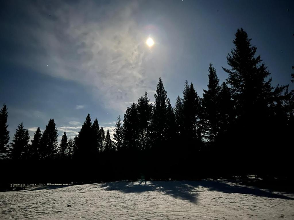 Dream Cabin photo 3