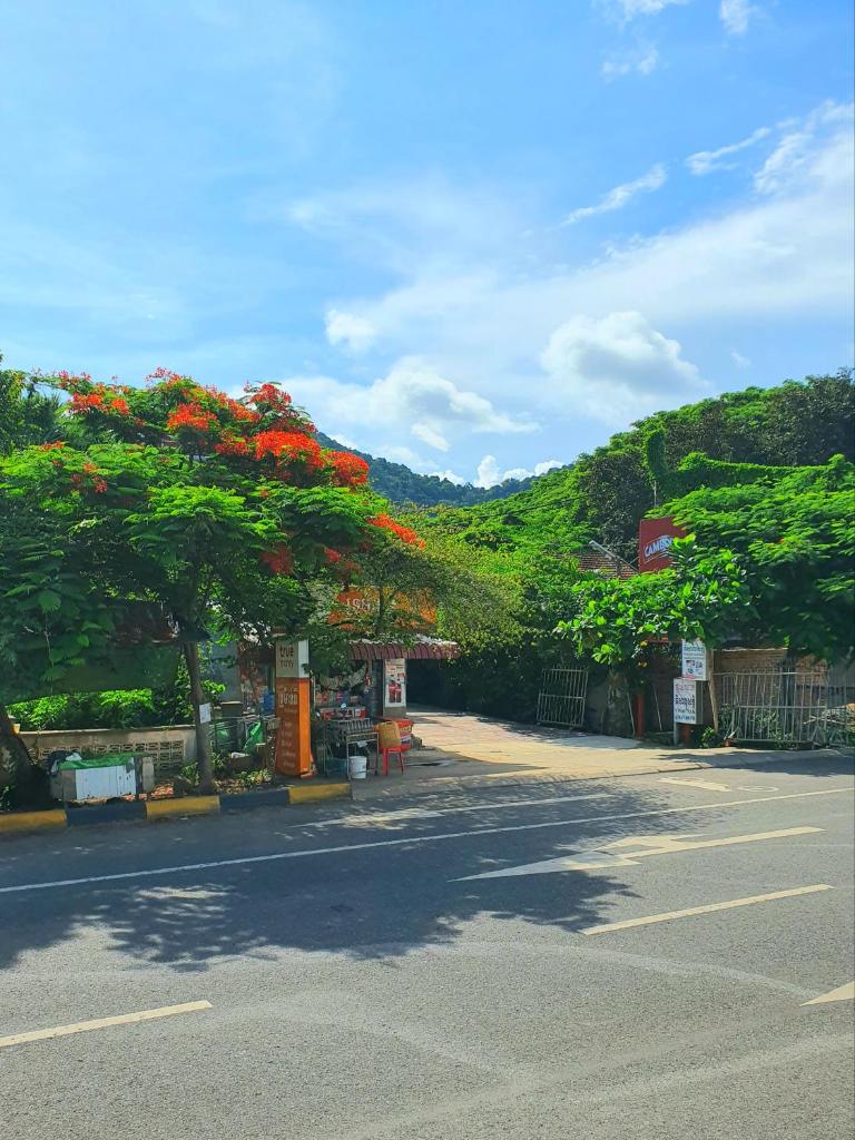 Visal Sak Guesthouse photo 1