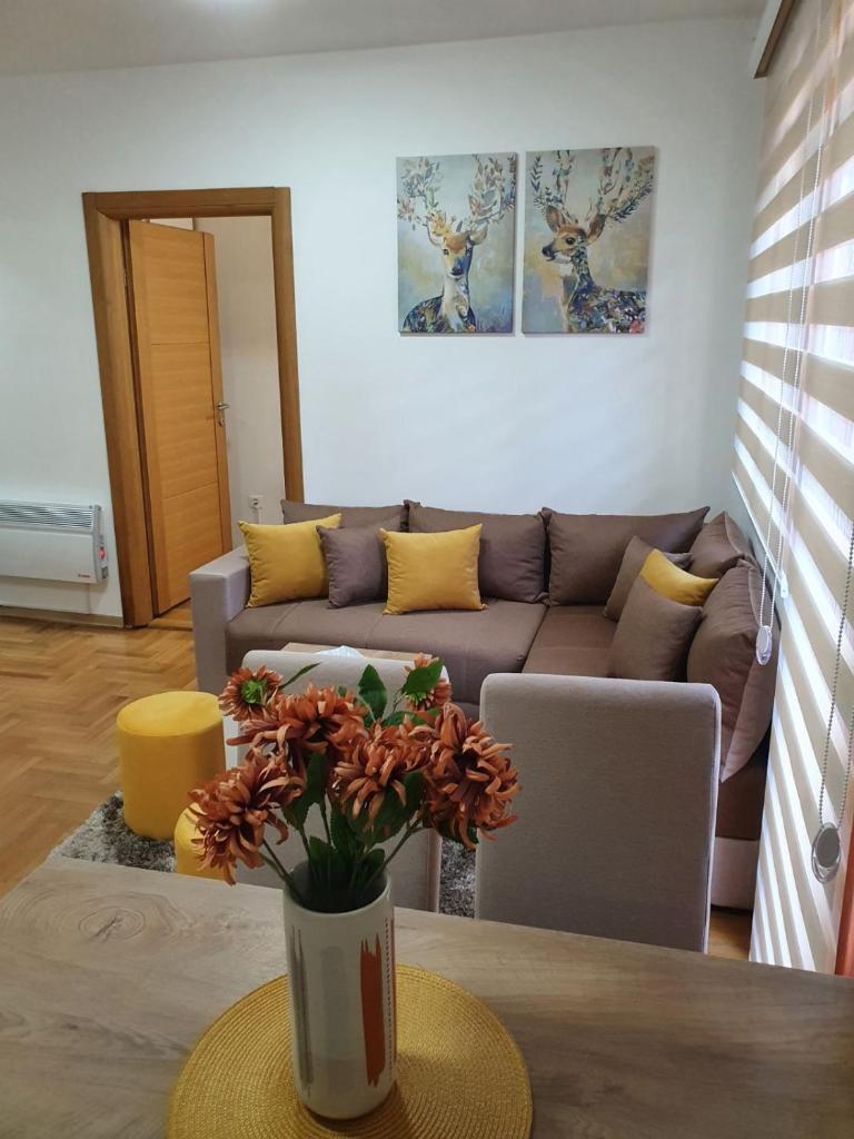 ApartmanBogdanović012 photo 4