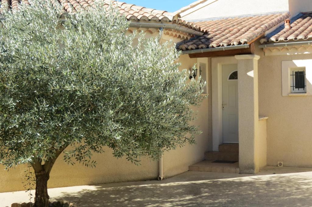 Location Le Clos du Petit Parrot photo 3
