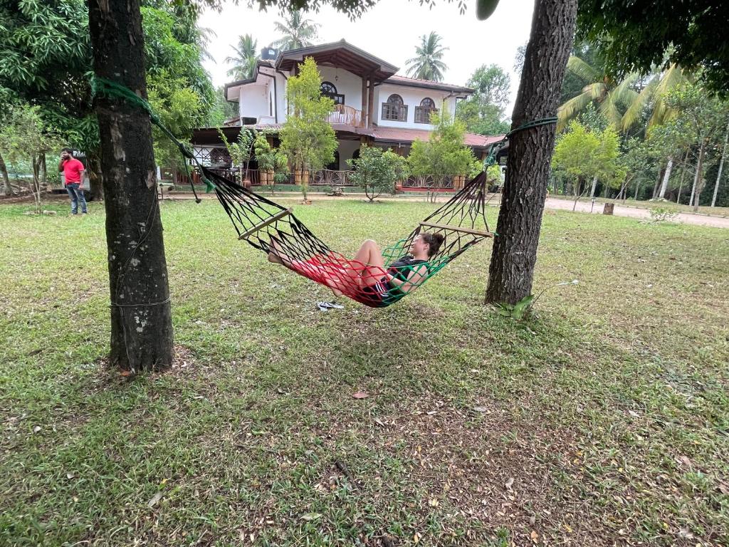 Xotic Resort photo 4