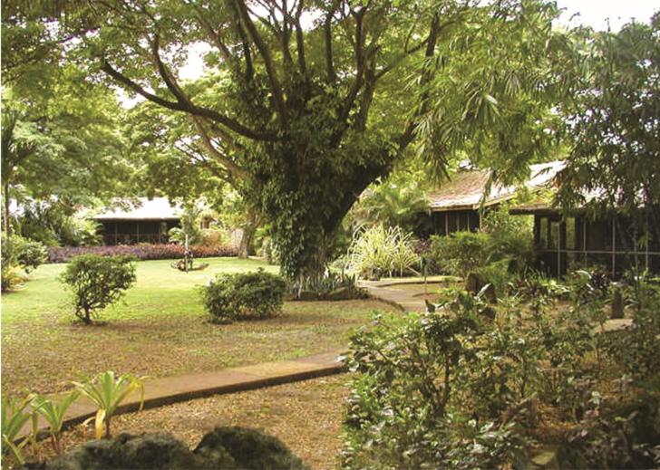 First Landing Beach Resort & Villas photo 1