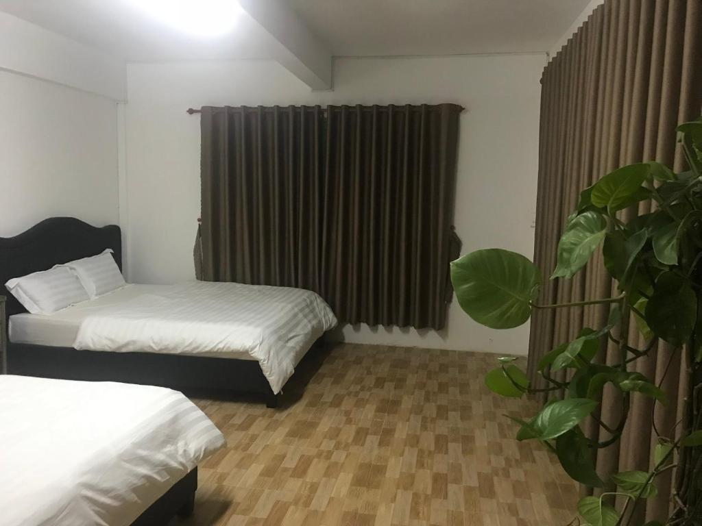 Homestay khu vuon hoang gia