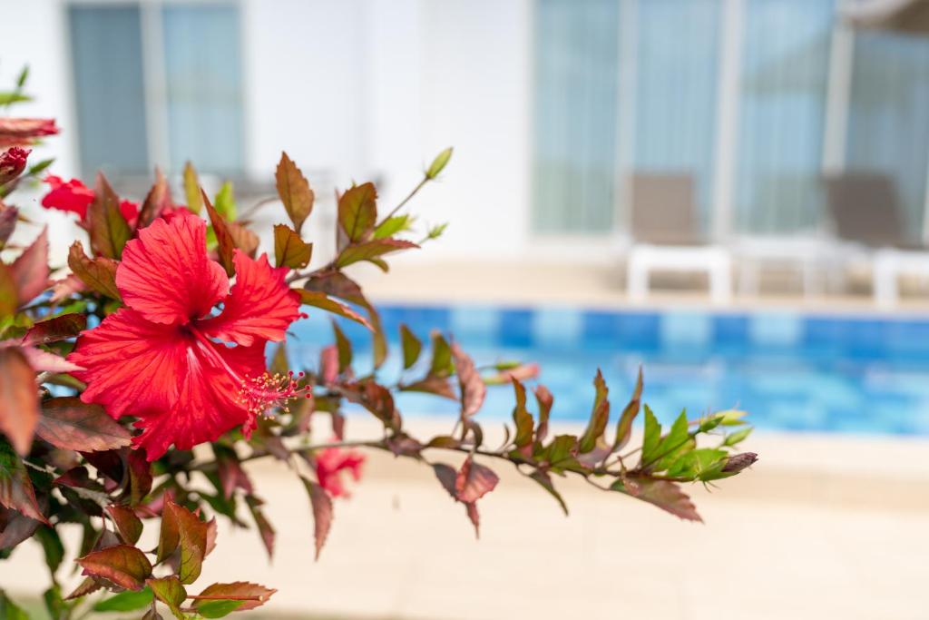 Crystal Villa Miyakojima Sunayama Beach photo 4