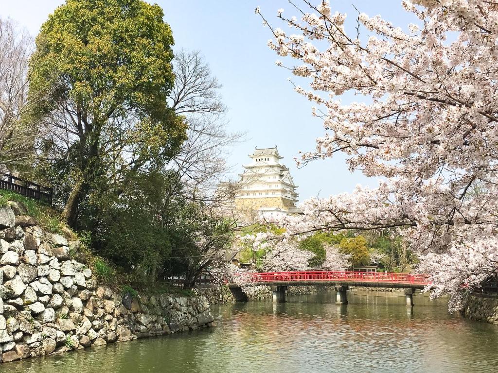 Shironoshita Guesthouse photo 2