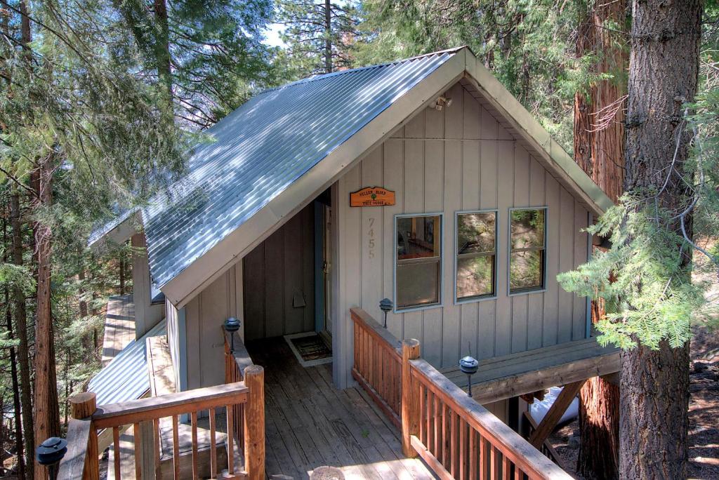 Tree House Lodge image