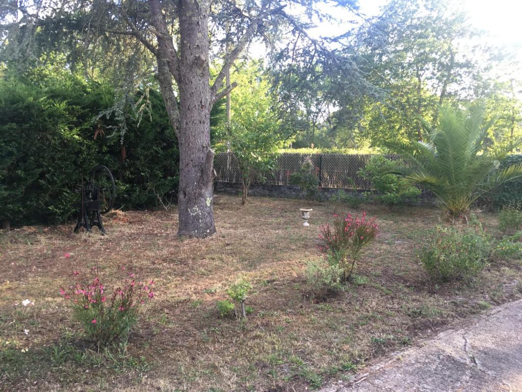 Cool Landes photo 2