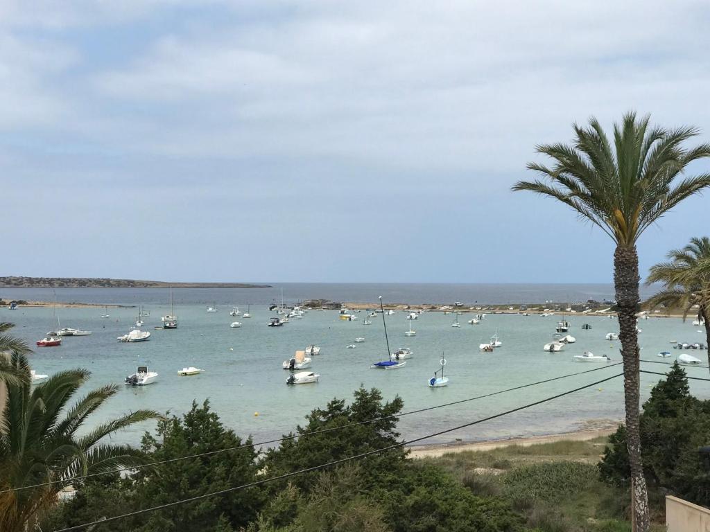 Ponent Formentera photo 1