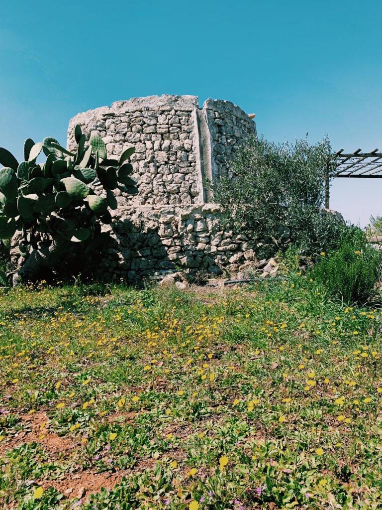 Trullo Contrada Stracca photo 1