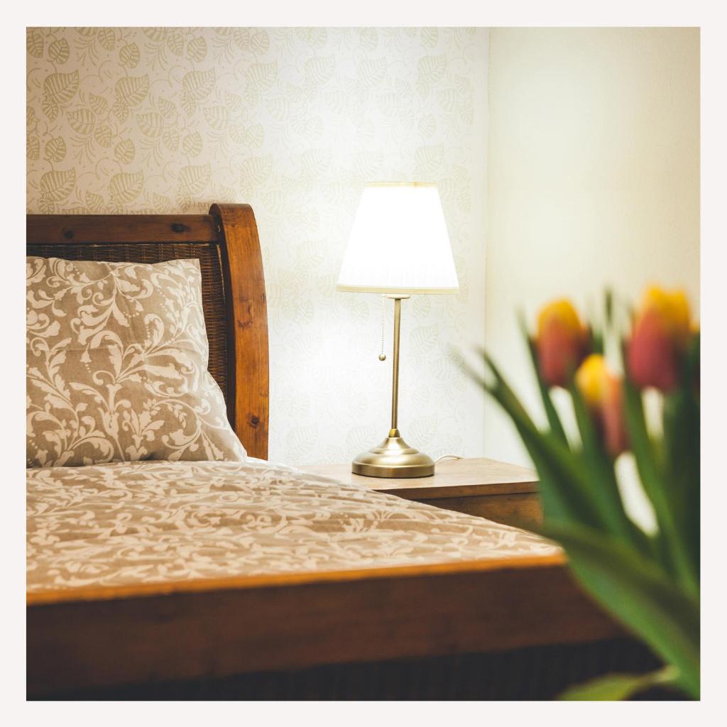 Apartmaji Aucin - Brda photo 2