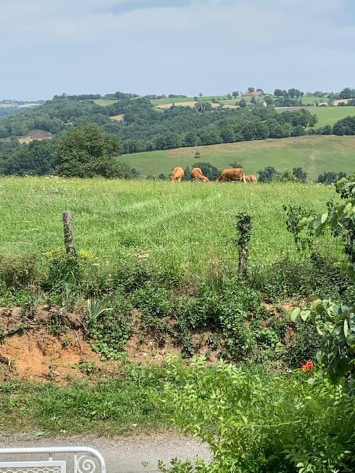 LA FERME photo 4