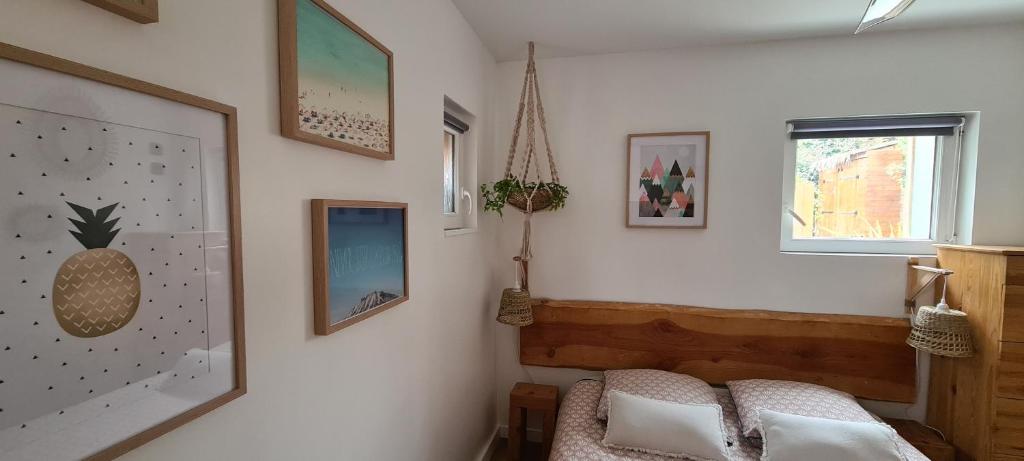 Wood'n Sea Surf Lodge - Auberge De Jeunesse photo 3