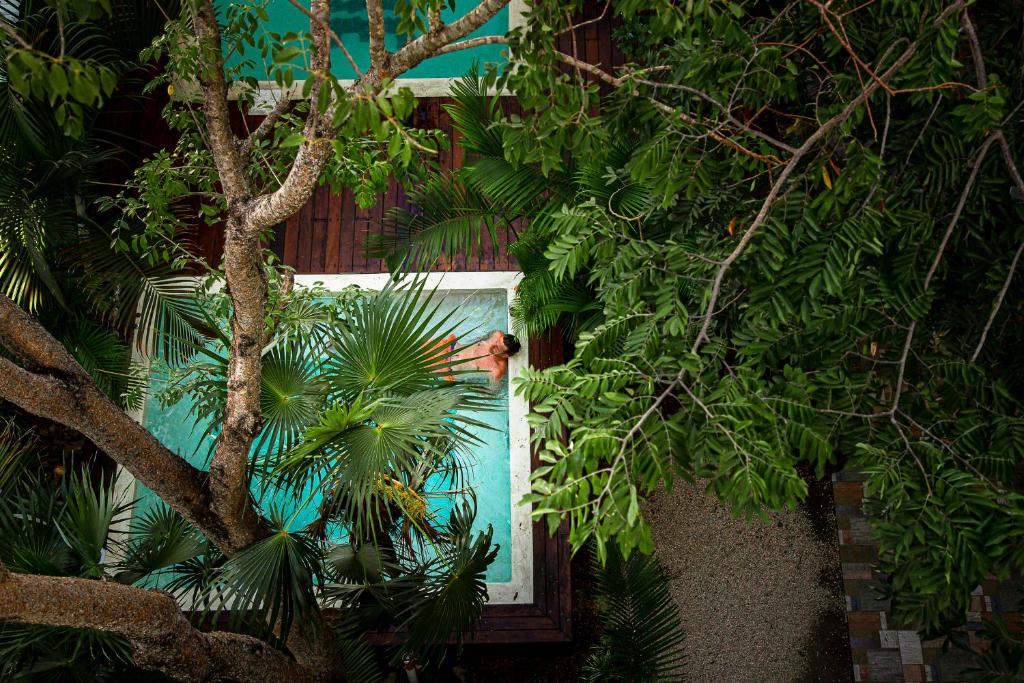 Che Tulum Hostel & Bar Adults Only photo 1