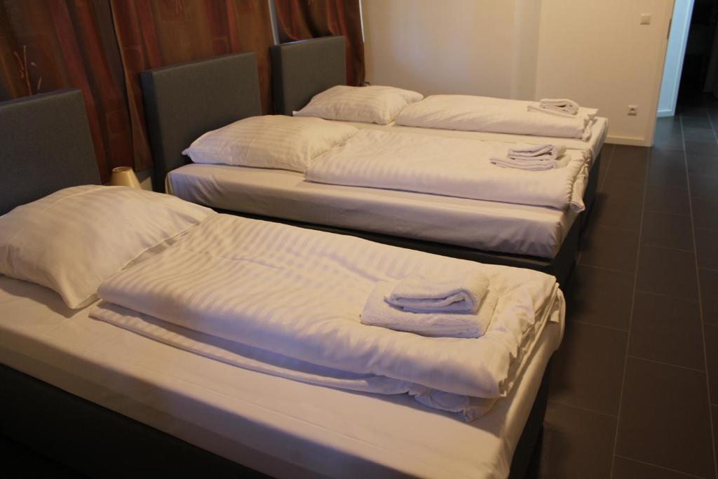David's Hostel photo 3