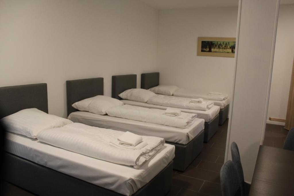 David's Hostel photo 2