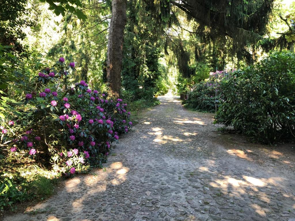 Ferienhaus Hudemühlen KEINE MONTEURE photo 1