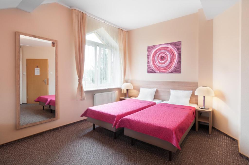 Двухместный (Двухместный номер с 1 кроватью), Hotel Petrus