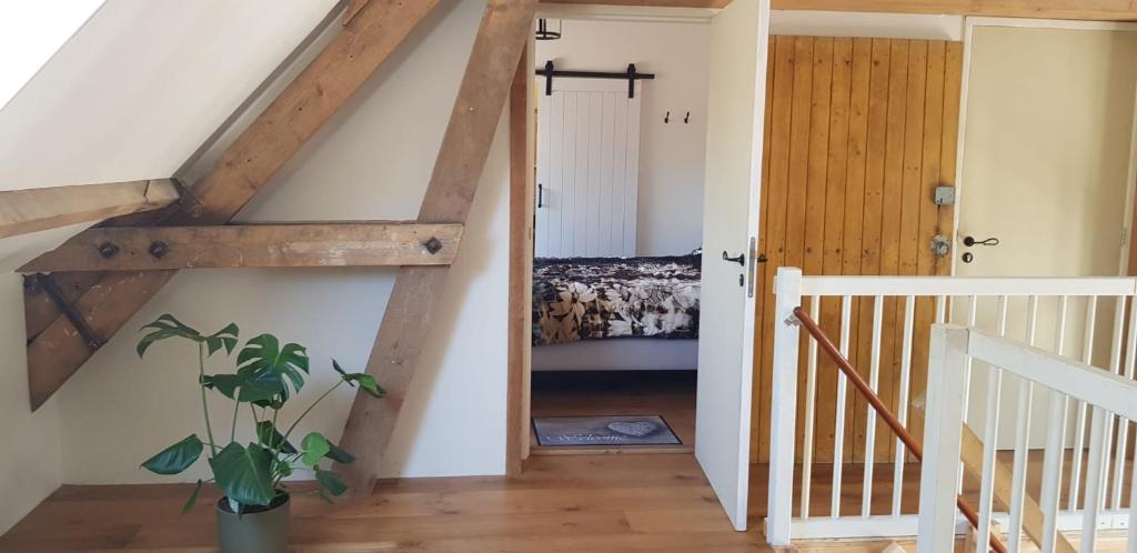 B&B Hoeve Ruimzicht photo 2