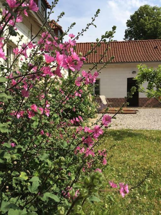 Domaine d'Antigneul photo 4