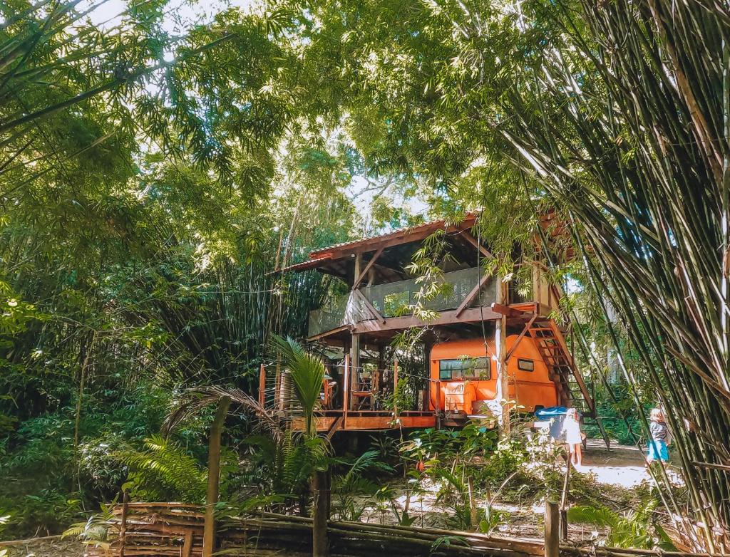 Cabana do Tarzan na Praia de Parati Mirim photo 2