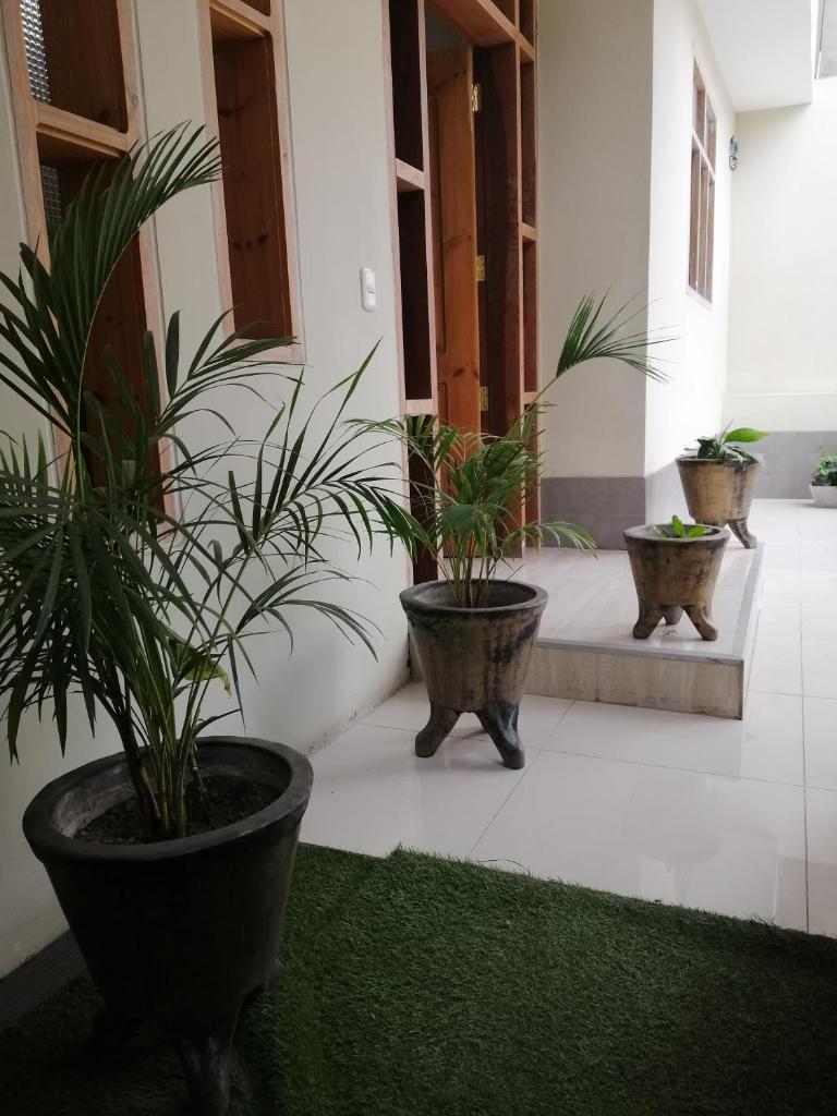CASA - Mary Ann's House photo 3