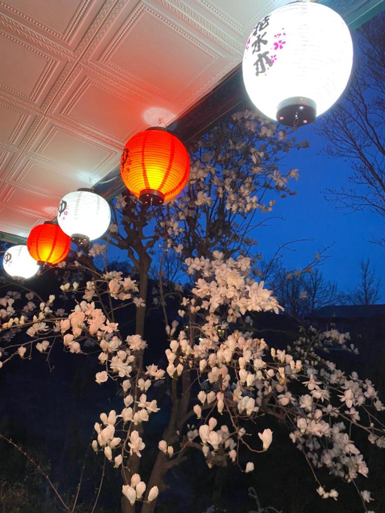 Hanamizuki Onsen Resort photo 1