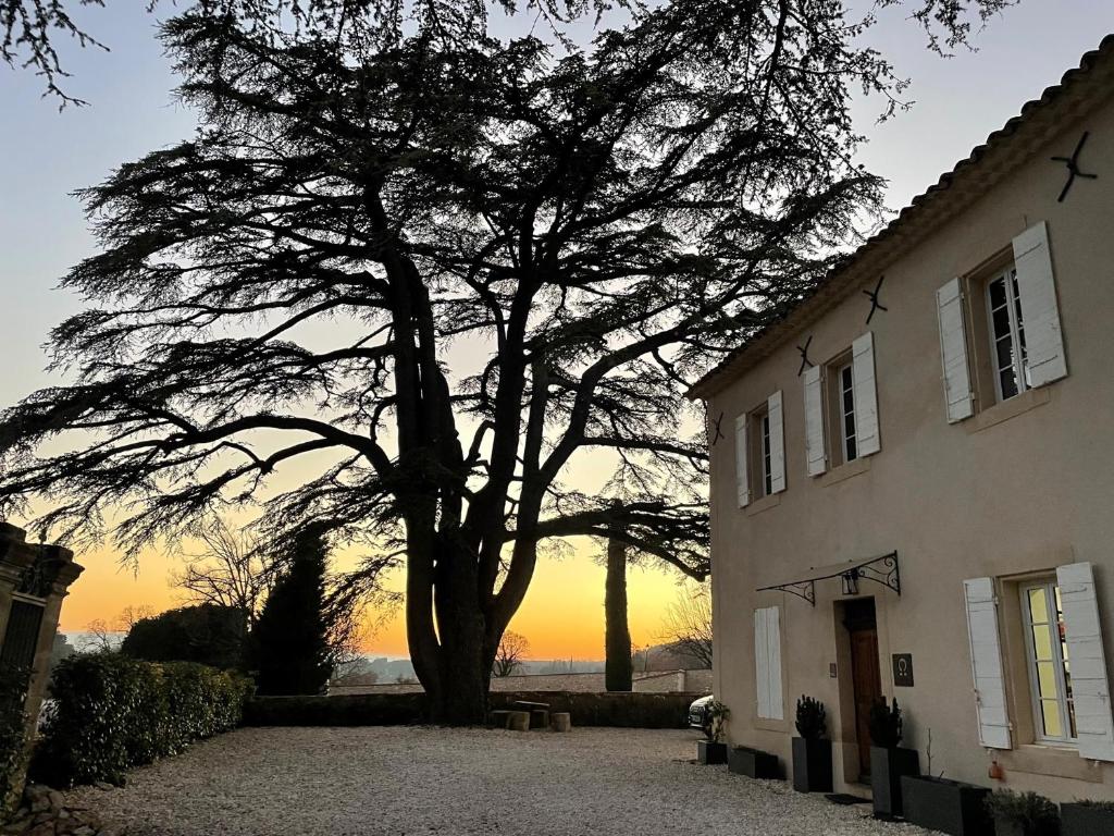 LE MAS AUX CEDRES - Teritoria photo 4