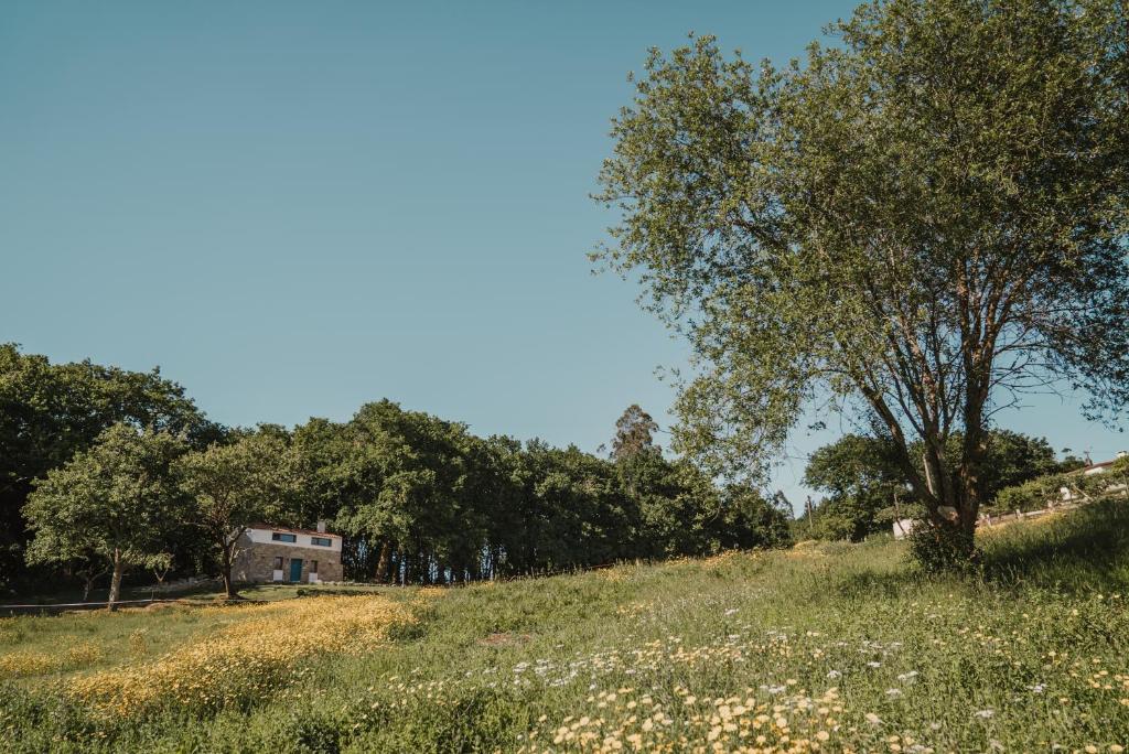 Casa de la Pradera photo 1
