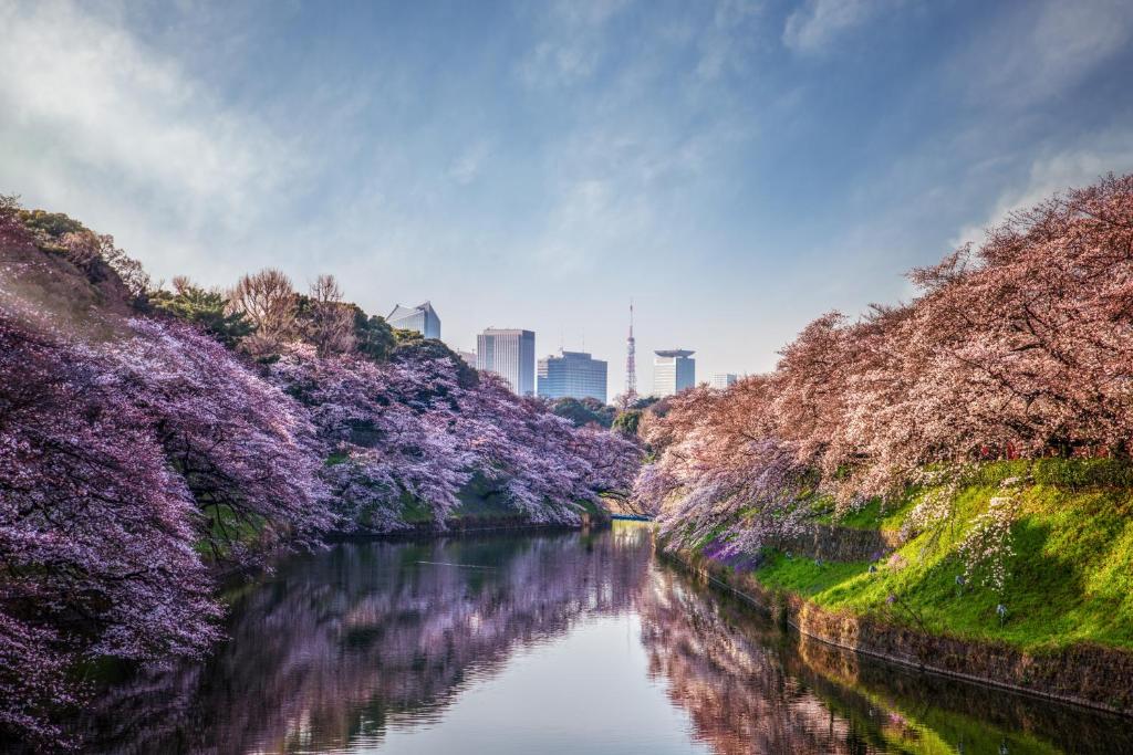 Four Seasons Hotel Tokyo at Otemachi