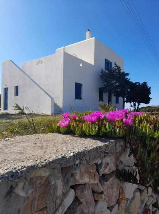 Glyfada House photo 4